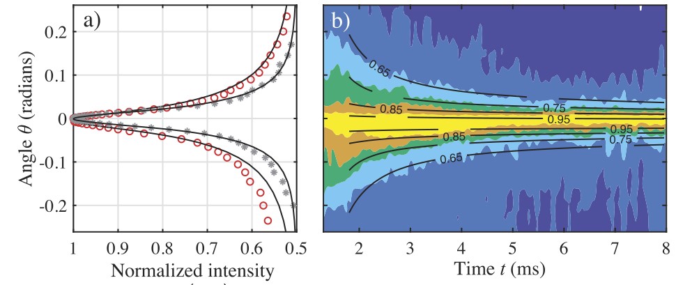 Progress report (2021) & Mesoscopic wave physics with a dense school of ...